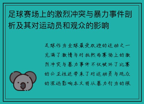 足球赛场上的激烈冲突与暴力事件剖析及其对运动员和观众的影响
