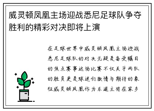 威灵顿凤凰主场迎战悉尼足球队争夺胜利的精彩对决即将上演