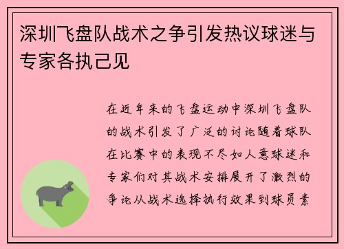 深圳飞盘队战术之争引发热议球迷与专家各执己见